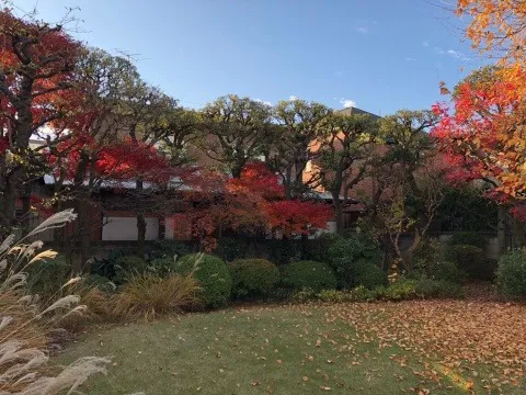 メンテナンス